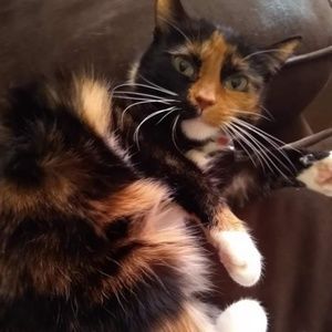 Meet your Posher, Carol